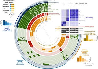 Ecological Divergence Within the Enterobacterial Genus Sodalis: From Insect Symbionts to Inhabitants of Decomposing Deadwood